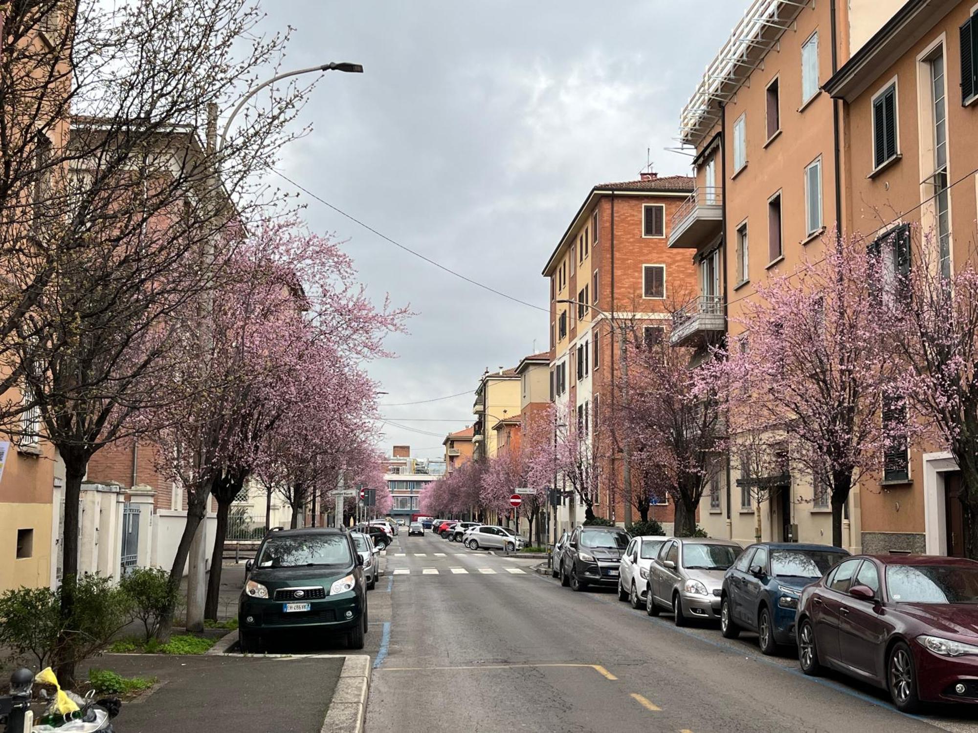 Casa Meli, Ampio Bilocale Nuovo Apartment Bologna Exterior foto